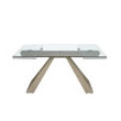 TABLE A MANGER RECTANGLE RALLONGES VERRE 100X76/ 1125