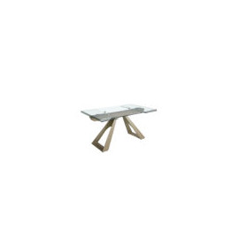 TABLE A MANGER RECTANGLE RALLONGES VERRE 100X76/ 1125