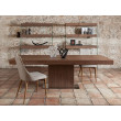 TABLE A MANGER RECTANGULAIRE EXTENSIBLE 180/240X100 / 1015