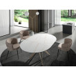 TABLE A MANGER RONDE CERAMIQUE A RALLONGE PIED METAL CHAMPAGNE/1119